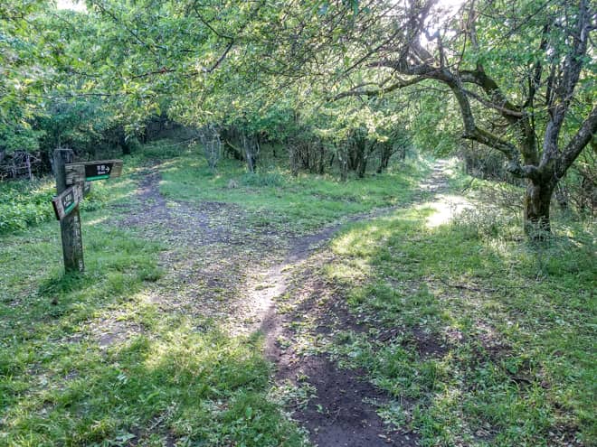 平尾山→石割神社駐車場
