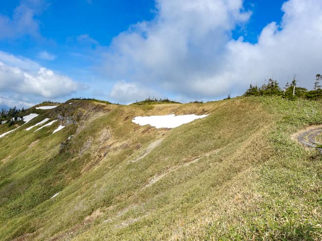 昭和24年。NHKのラジオ番組で