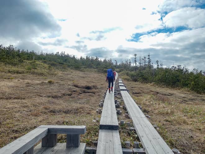 時々樹林帯を抜けながら