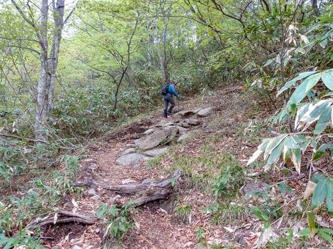 景色の無い樹林帯を登り続けるので