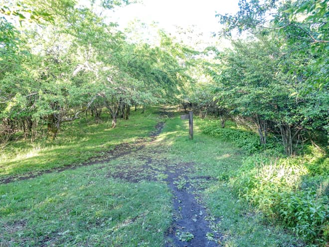 暫く悪路で狭い登山道が続きましたが