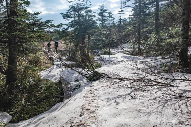 暫く登り続けると景色が開けてきました