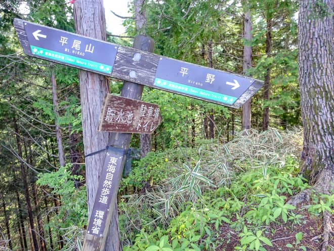 暫く進むと分岐点に到着です