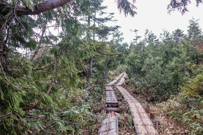 横田代→中原山