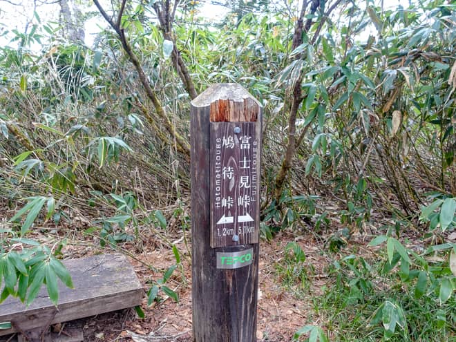 横田代までは距離が長く