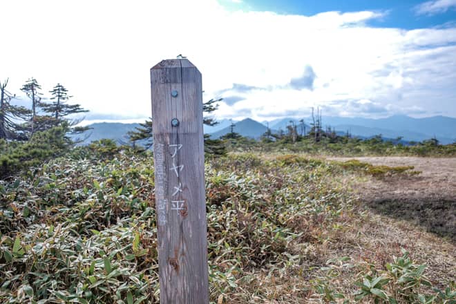 水芭蕉を求めて散策
