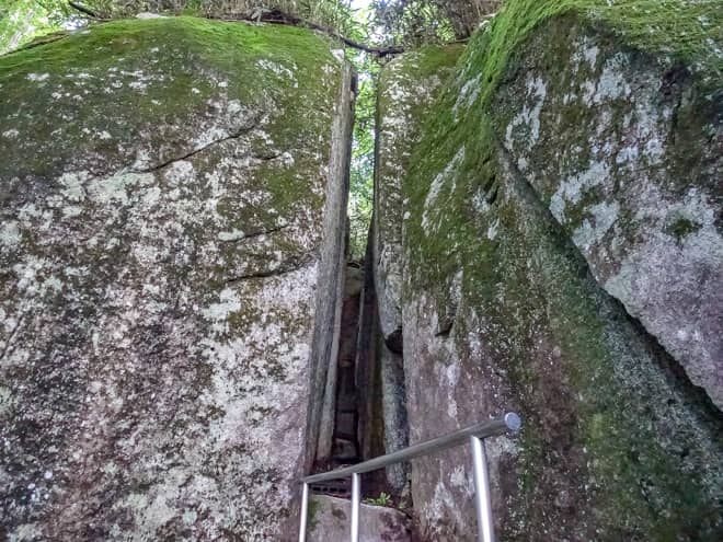 無事に隙間を潜り抜けました