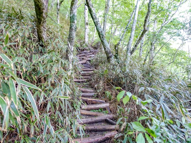 登山道は大変荒れていて