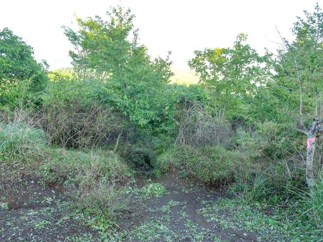 石割山山頂→一ノ砂ノ沢ノ頭