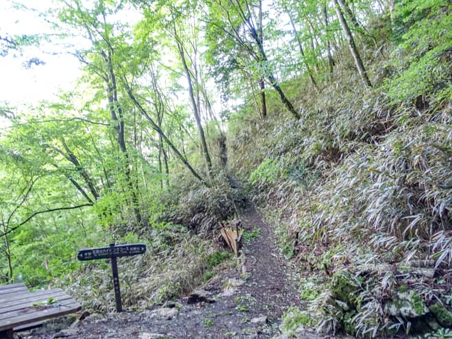 石割神社→石割山山頂