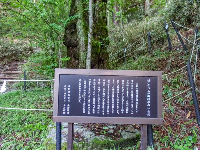 石壁を登ると石割大権現様が鎮座する