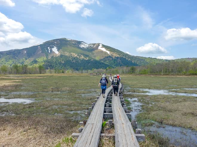 竜宮からは尾瀬ヶ原を横断し