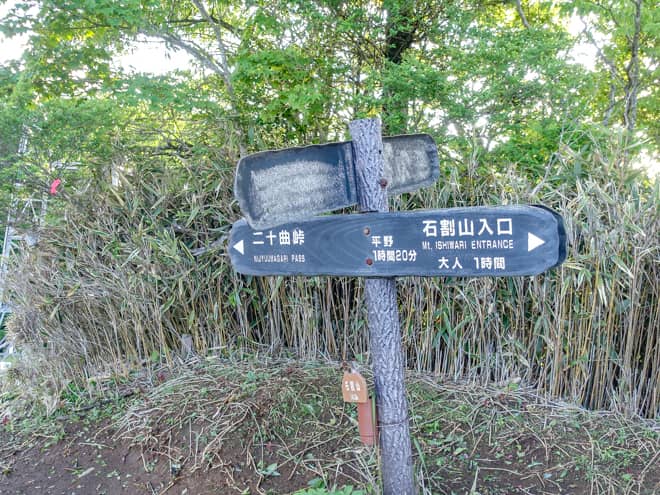 背後を振り返ると木々に覆われて