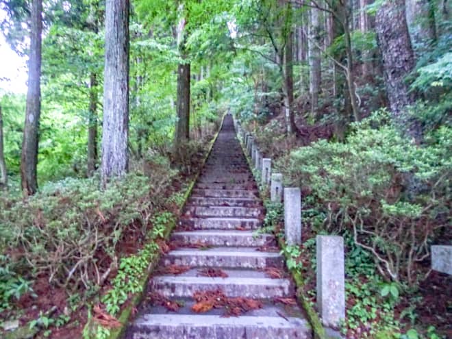鳥居→富士見平