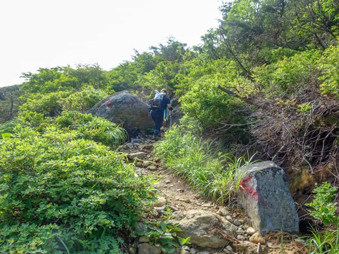 くろがね小屋→峰の辻