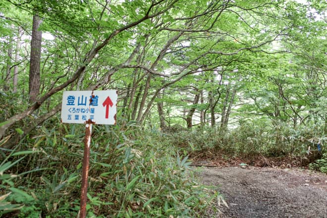 今日ご紹介するのは5番目の