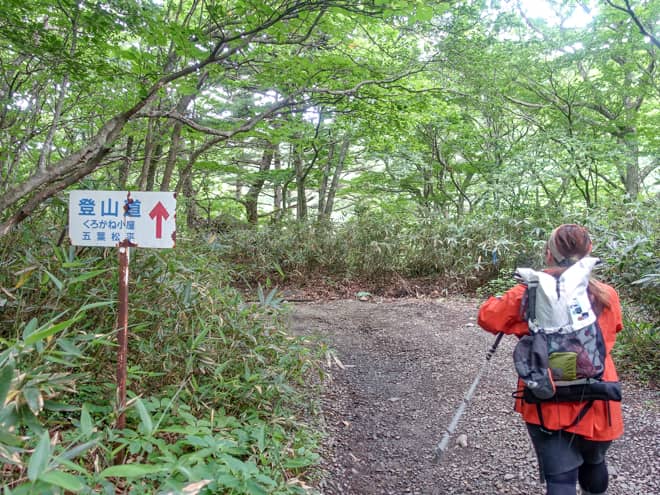奥岳登山口→勢至平分岐