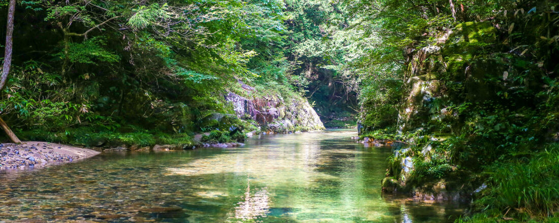 奥湯来シャワークライミング