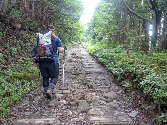 暫くの間、景色が無い林道歩きが続くので