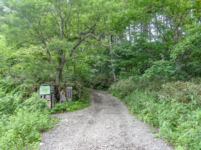 暫く進むと分岐に到着します