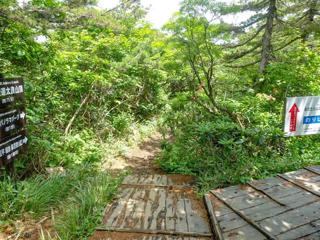 木道が見えてきたらロープウェイ乗り場