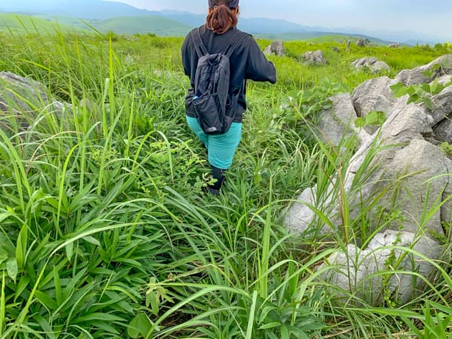 草や藪が生い茂り登山道がわからない