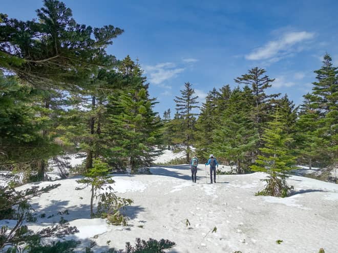 雪で登山道がわからない