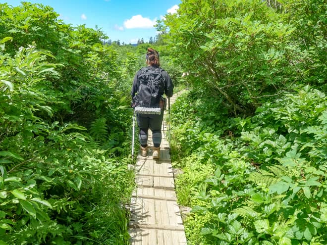 「高谷池ヒュッテ」へのアクセス方法