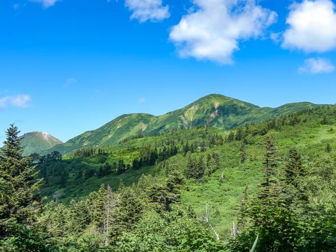 ここからは段々と景色が開けていくので