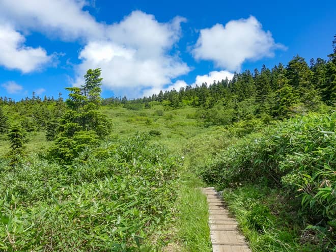 しかし、高谷池ヒュッテを迂回するような道のりなので