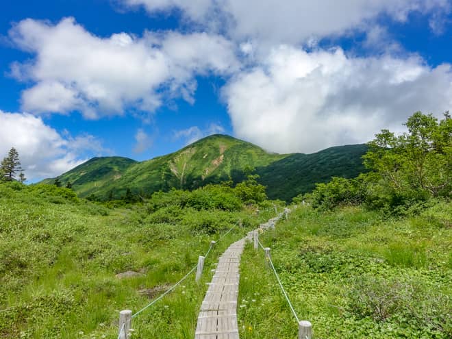 まるで尾瀬を歩いているかのような雄大な景色