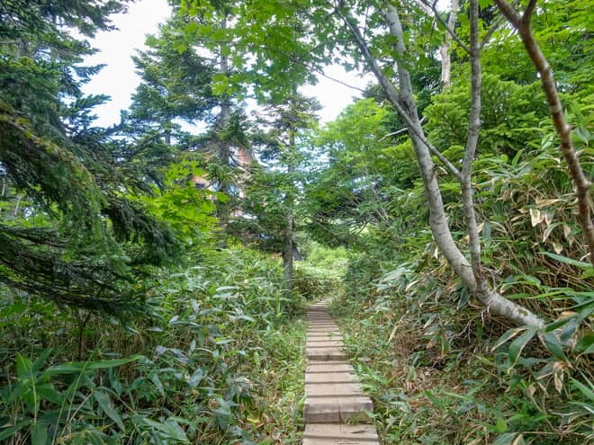 アルプス展望台から少し歩くと