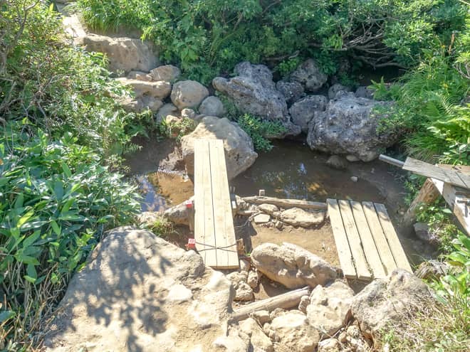 テント場は水場がある木の橋を渡った先にあります