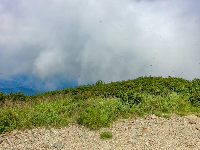 北西側に目を向けると、遠くに日本海を