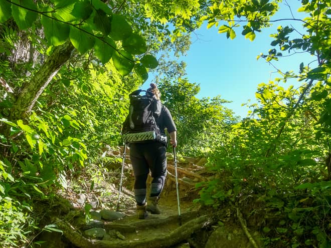 十二曲がり→富士見平