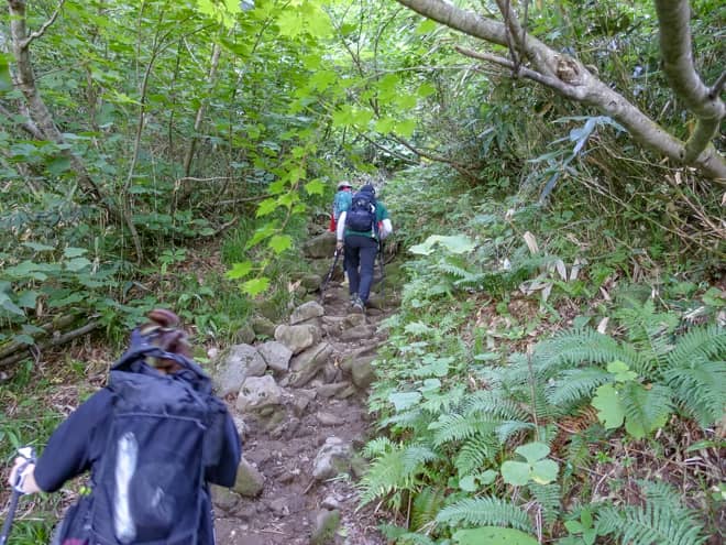 十二曲がりは本当にあっというまで