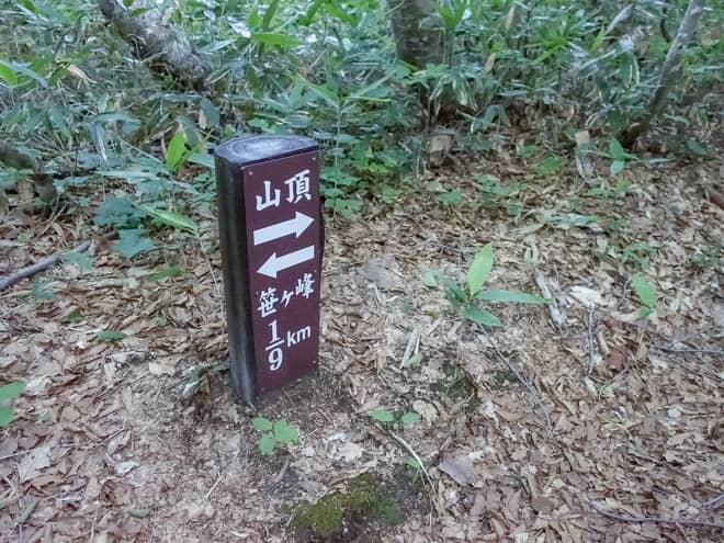 半分程歩くと標識が見えてきます