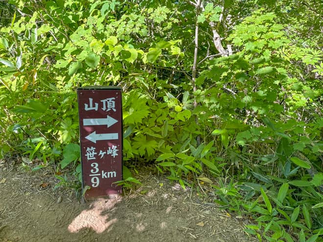 地味な急登を進むと、39kmの標識が見えてきますが