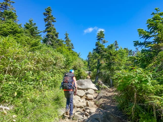 富士見平→高谷池ヒュッテ