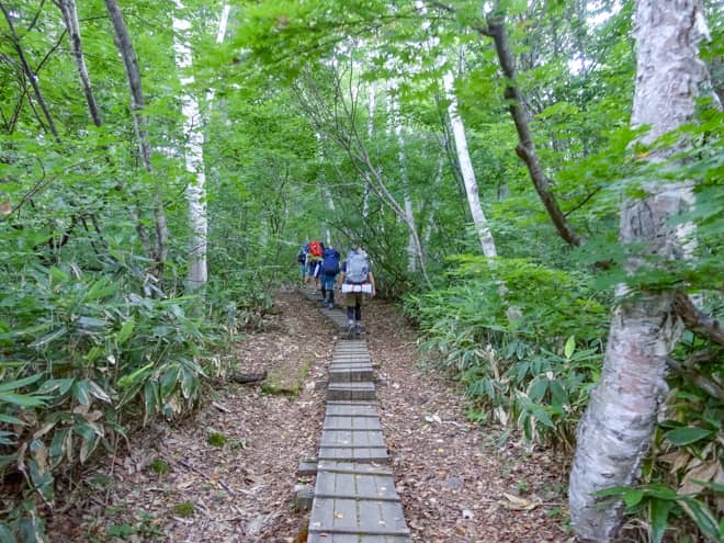 暫くはブナの原生林が広がる樹林帯歩きです