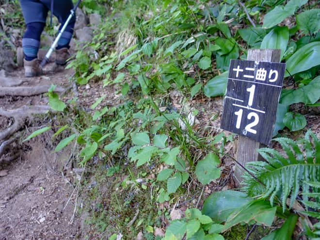 暫く歩くと十二曲がりという