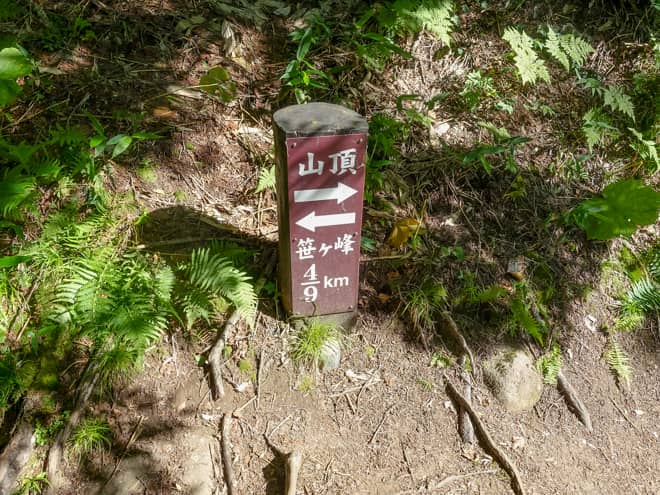 暫く登り続けると49kmの標識が見えてきます