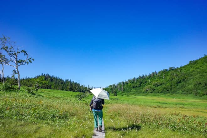 火打山には、尾瀬のような高層湿原が3か所もある