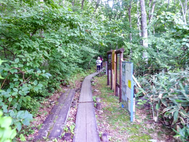 火打山登山口から高谷池ヒュッテまで道のり