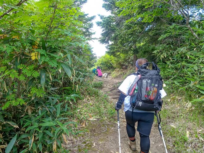 登りで通った富士見平に到着です