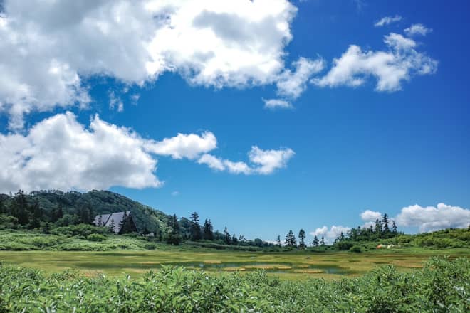 登山道から見た高谷池ヒュッテ