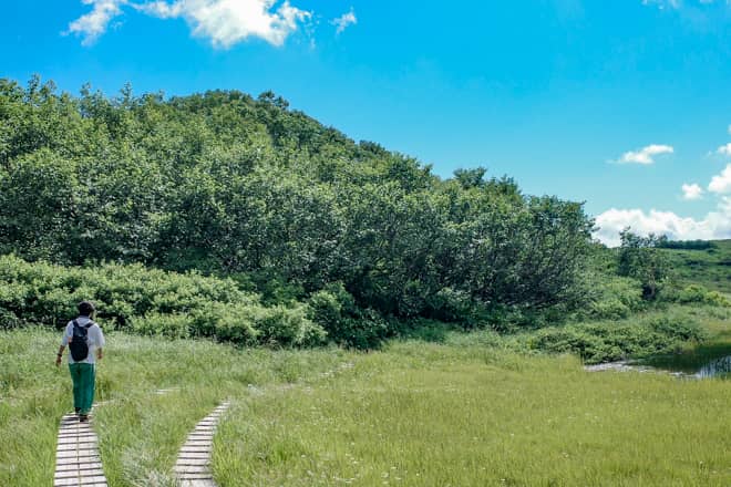 登山道は大変整備されていて危険個所もなく