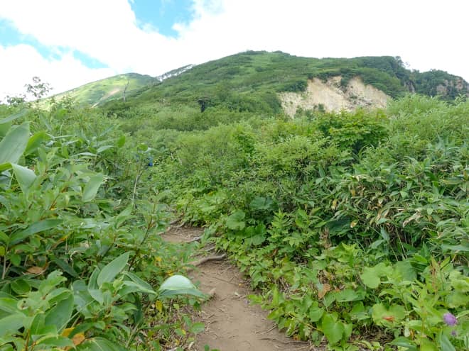 目の前に山頂らしきものが見えていますが