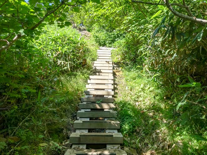 絶景を堪能した後は分岐点の富士見平まで少しだけ登り返し