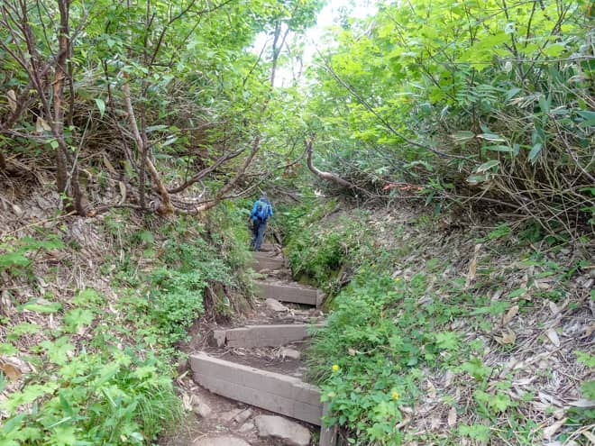 階段と岩場の急登がずっと続くので